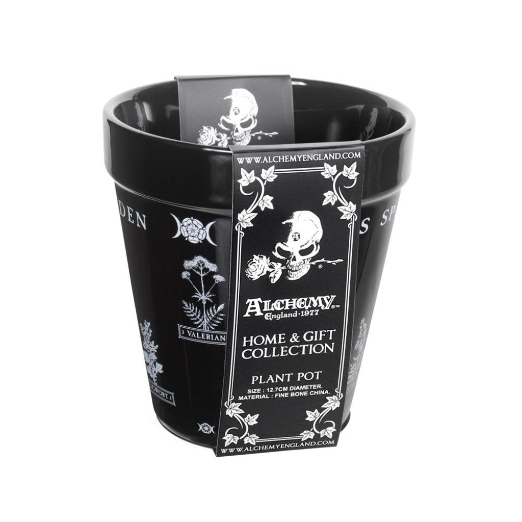 Alchemy Gothic Witches Spell- Garden Plant Pot (GPP6)