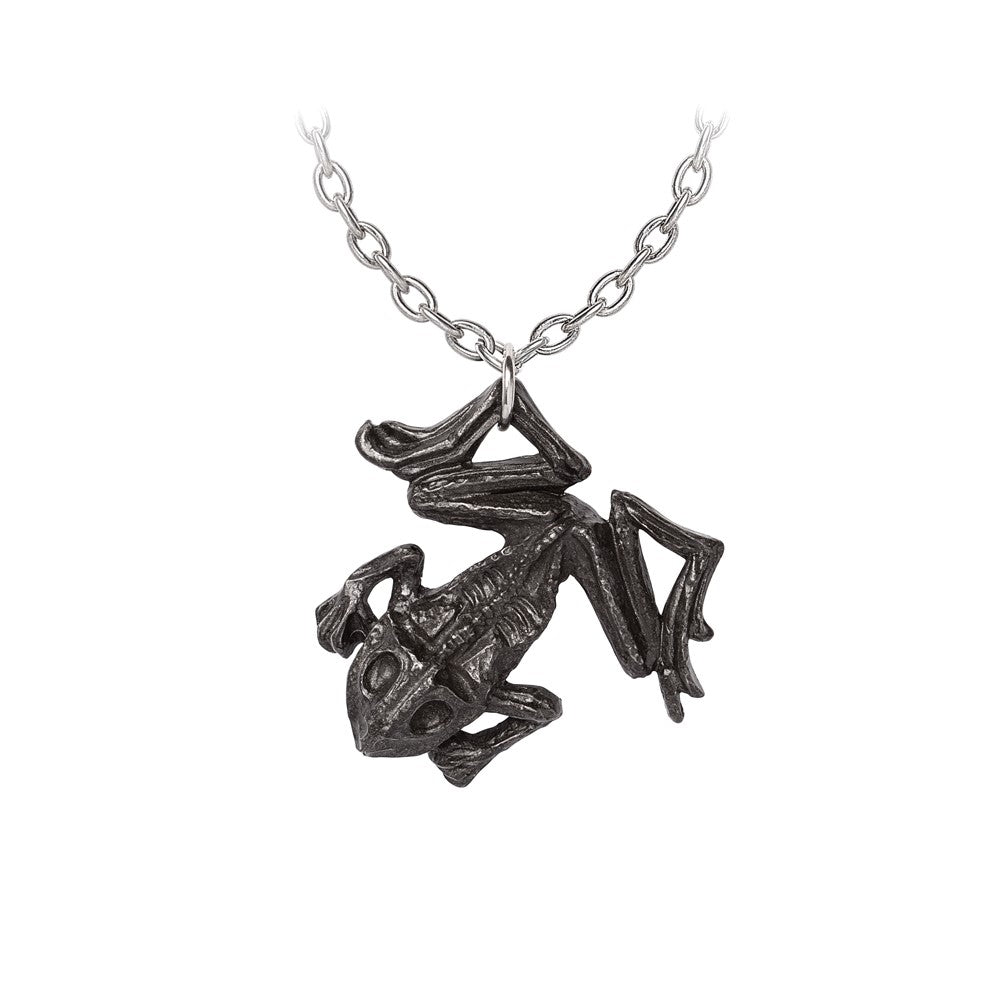 Alchemy Gothic Black Paddock Pendant (P987)