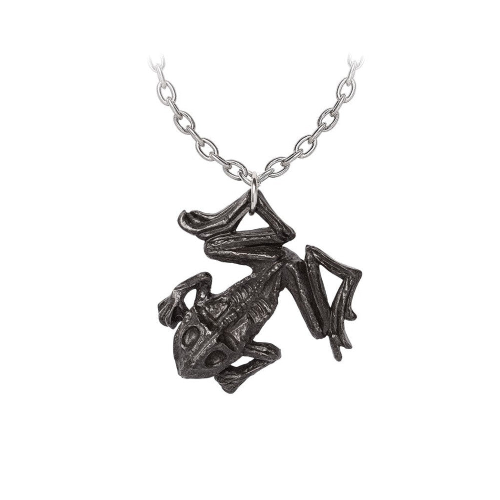 Alchemy Gothic Black Paddock Pendant (P987)