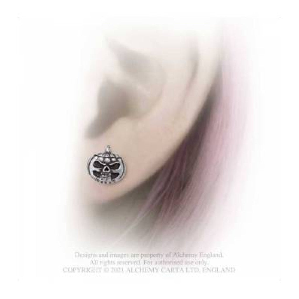 Alchemy Gothic Pumpkin Skull Pair of Stud Earrings (E450)