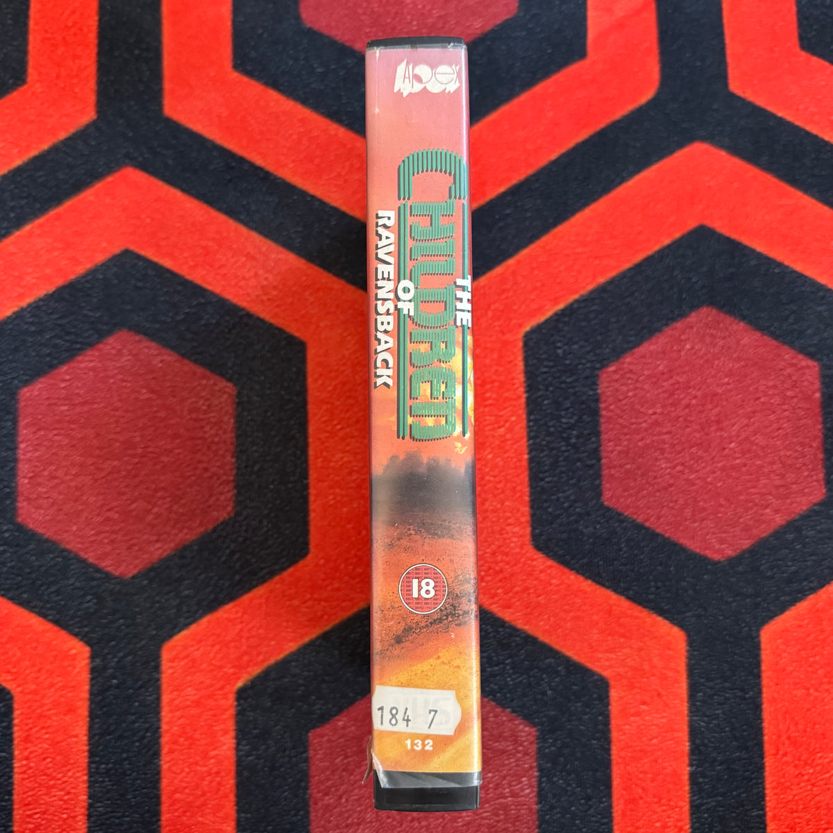 The Children of Ravensback Ex Rental VHS Video (1980) 132