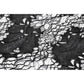 Dark in Love Morwenna Lace Gothic Maxi Dress in Black