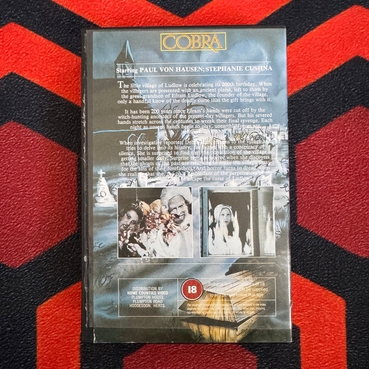 The Demons of Ludlow Ex Rental VHS Video (1983)