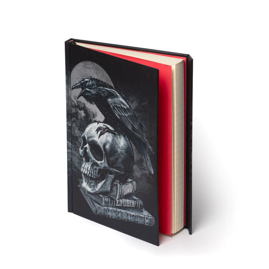 Alchemy Gothic Poe's Raven Foiled Journal (ANB1)