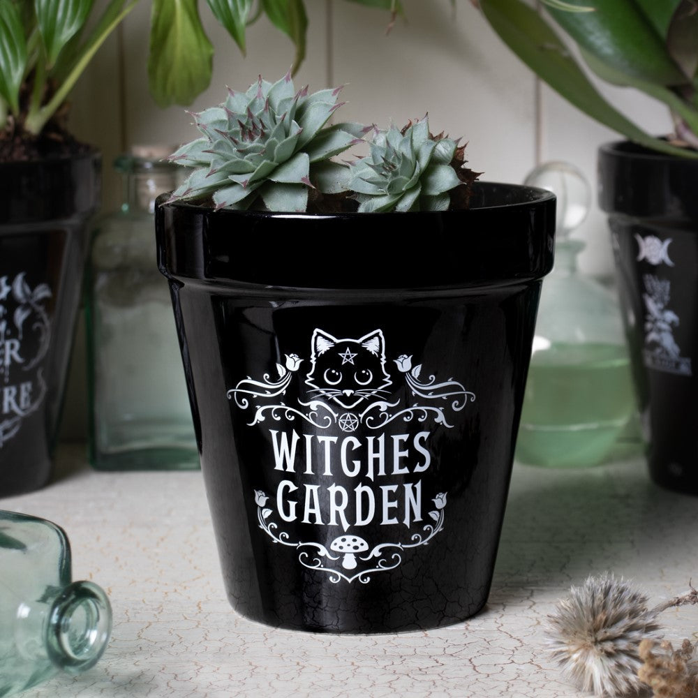 Alchemy Gothic Witches- Garden Plant Pot (GPP1)