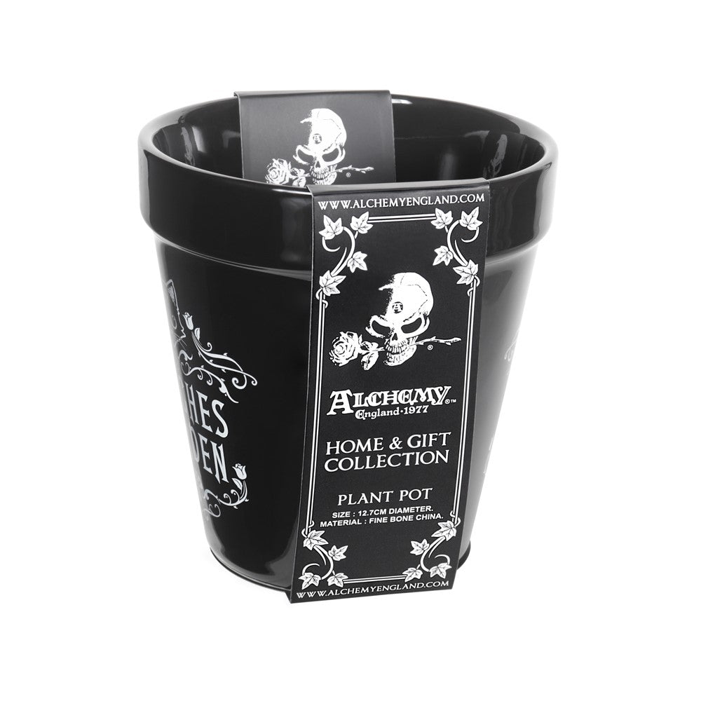 Alchemy Gothic Witches- Garden Plant Pot (GPP1)
