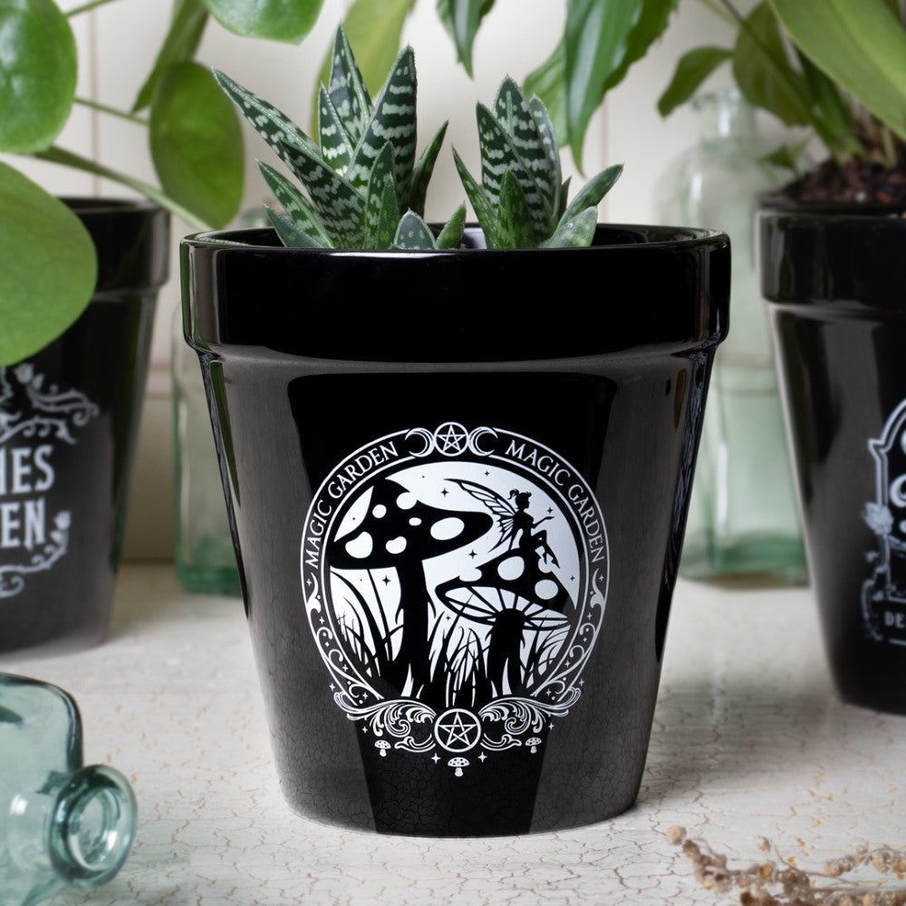 Alchemy Gothic Magic- Garden Plant Pot (GPP2)