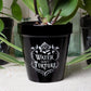 Alchemy Gothic Water Don't Torture- Garden Plant Pot (GPP4)