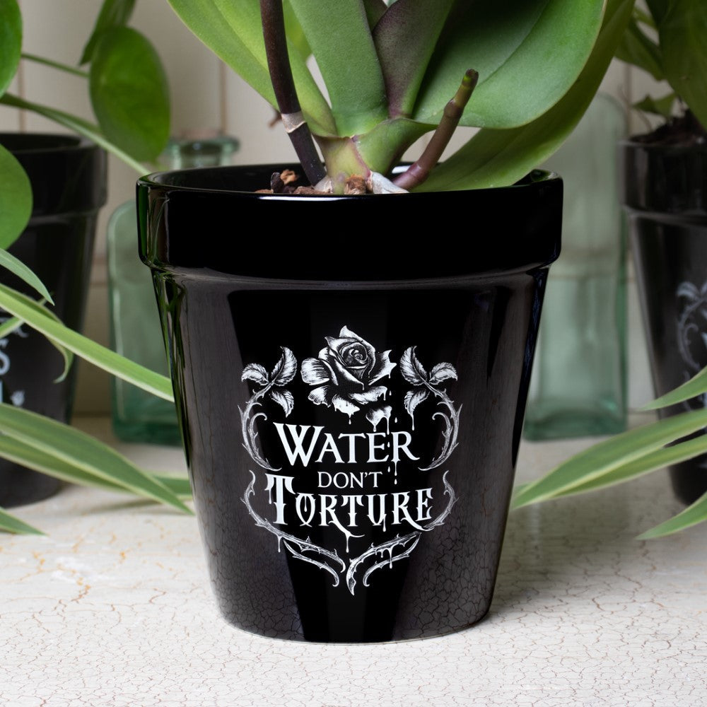 Alchemy Gothic Water Don't Torture- Garden Plant Pot (GPP4)