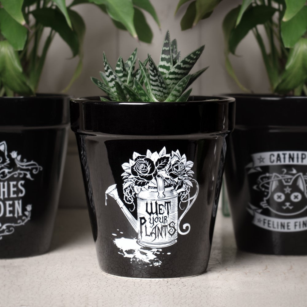 Alchemy Gothic Wet Your Plants- Garden Plant Pot (GPP5)