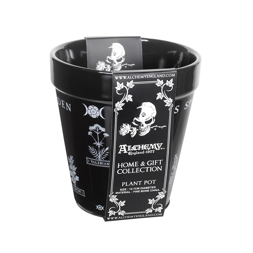 Alchemy Gothic Witches Spell- Garden Plant Pot (GPP6)