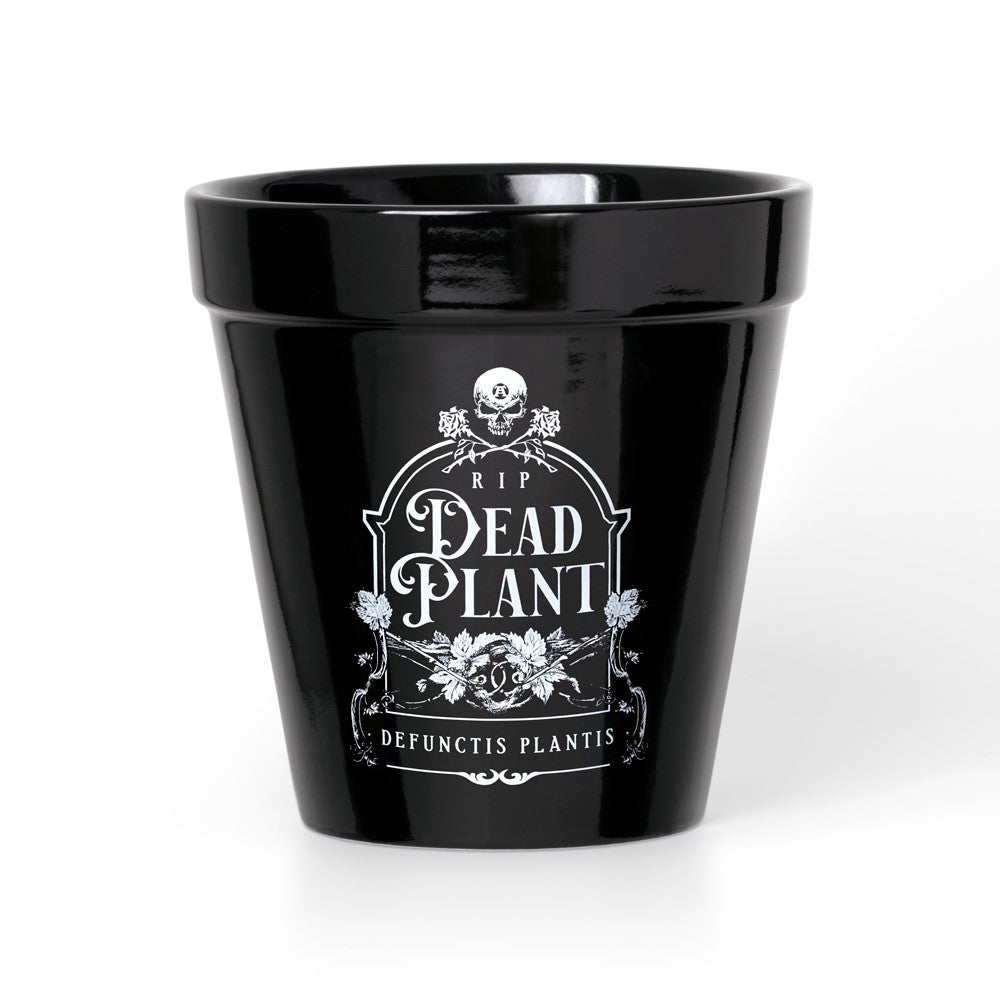 Alchemy Gothic Dead Plant- Garden Plant Pot (GPP7)