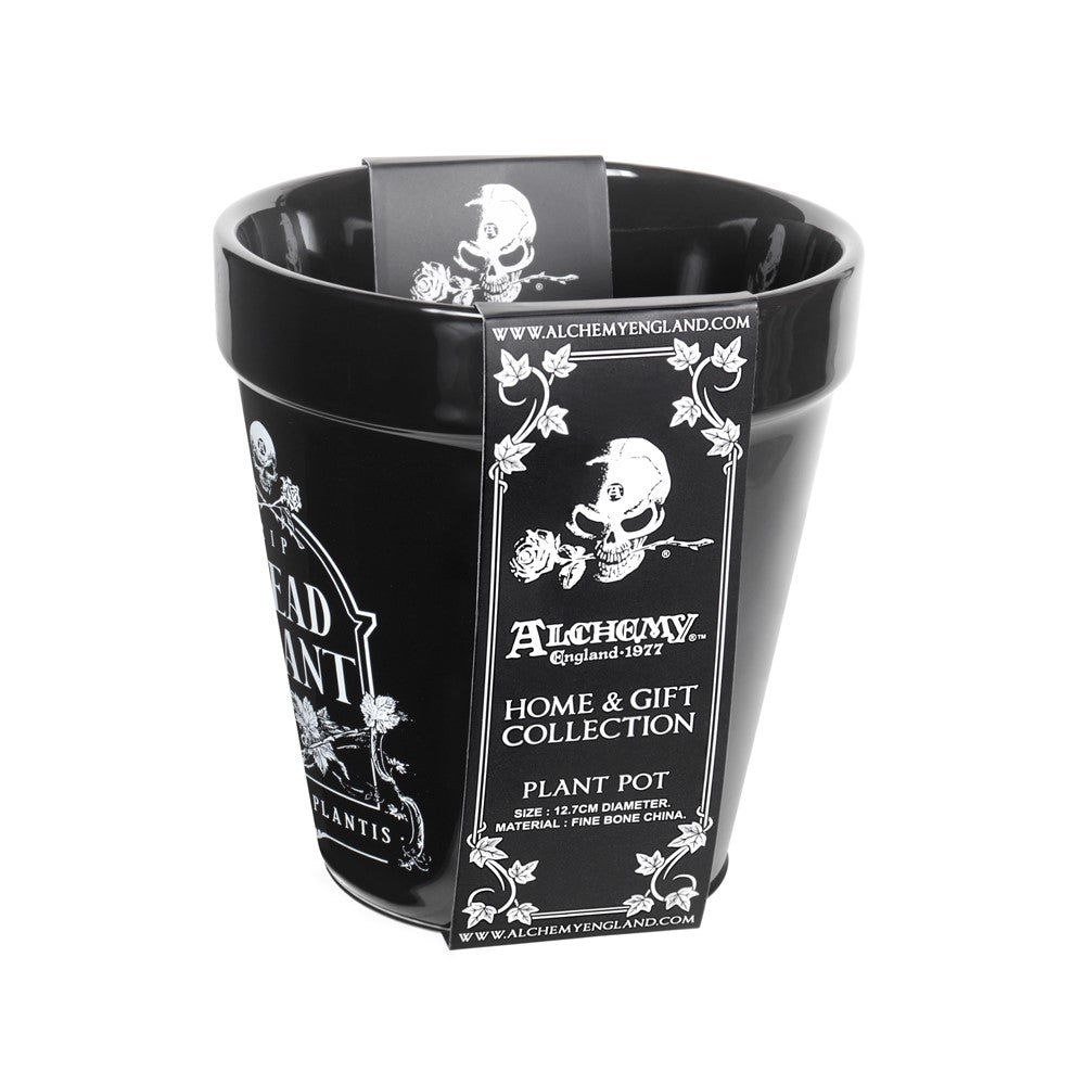 Alchemy Gothic Dead Plant- Garden Plant Pot (GPP7)