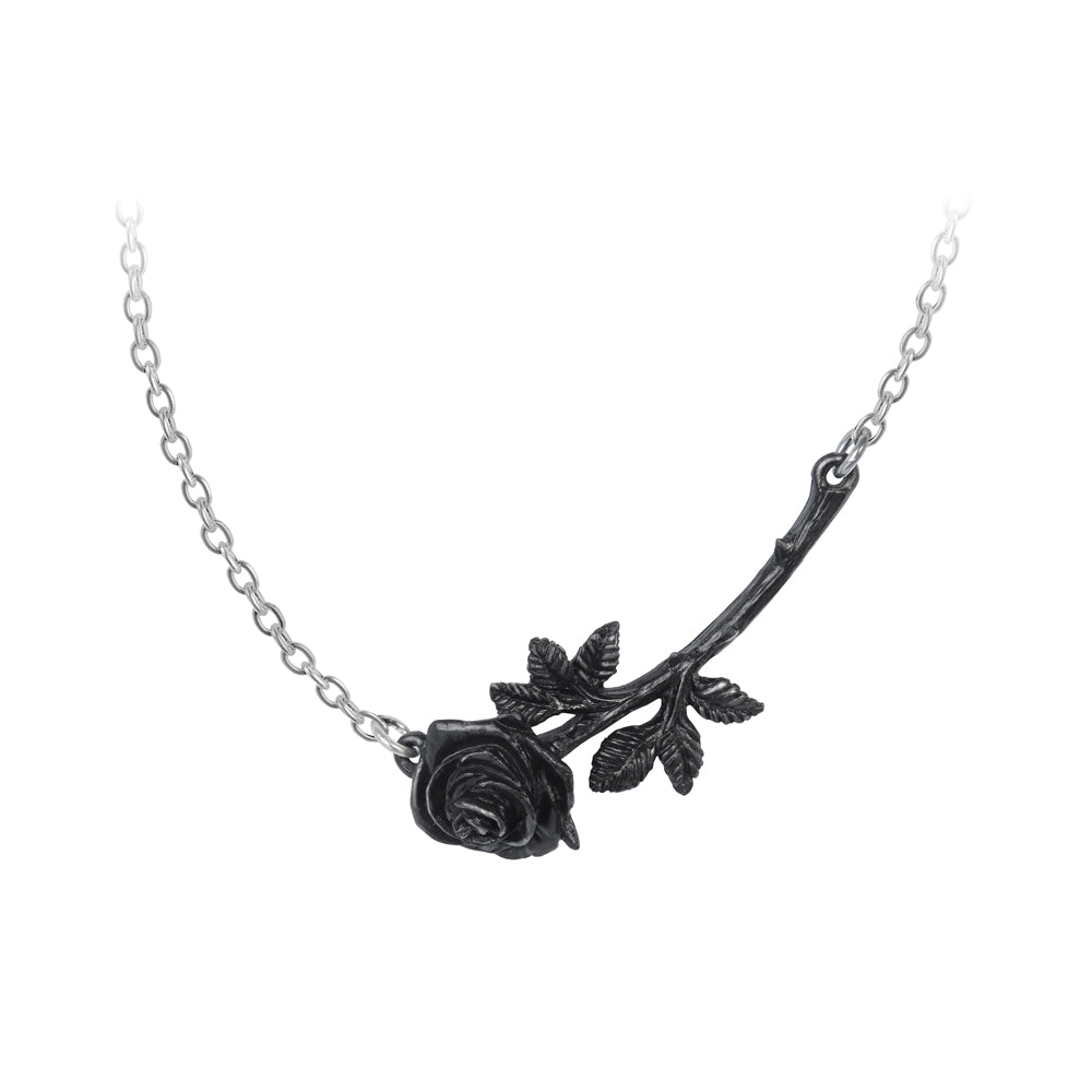 Alchemy Gothic Black Rose Enigma Necklace (P913)