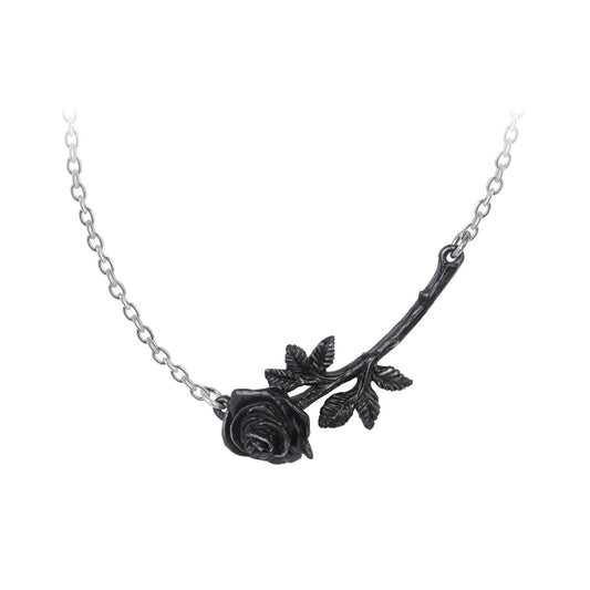 Alchemy Gothic Black Rose Enigma Necklace (P913)