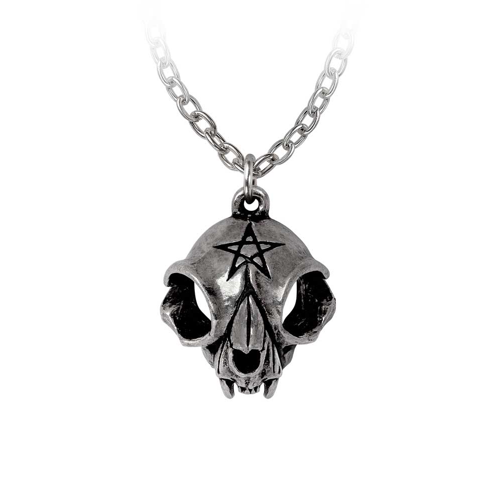 Alchemy Gothic My Forever Friend Pendant (P938)