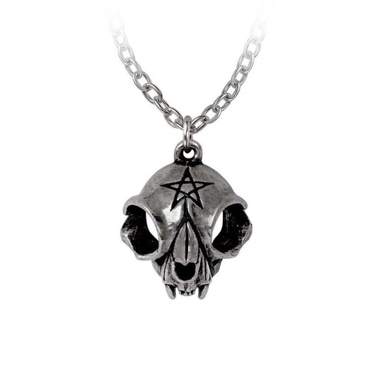 Alchemy Gothic My Forever Friend Pendant (P938)