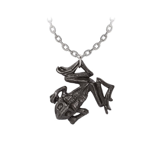 Alchemy Gothic Black Paddock Pendant (P987)