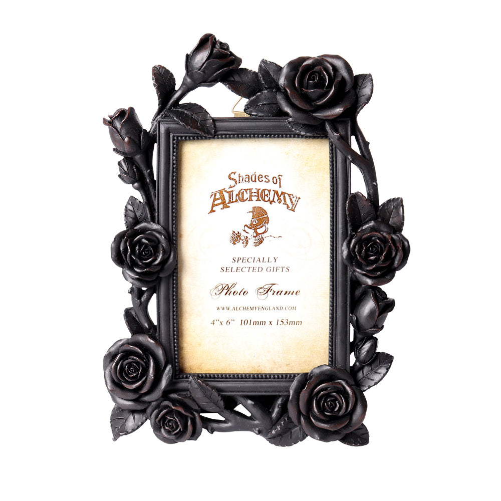 Alchemy Gothic Rose & Vine Photo Frame (SA17)