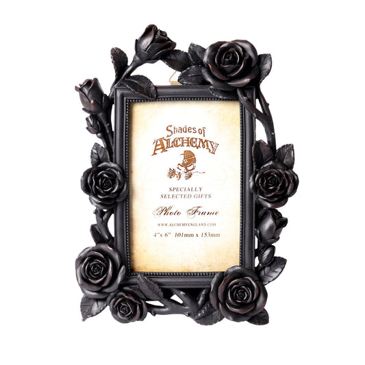 Alchemy Gothic Rose & Vine Photo Frame (SA17)