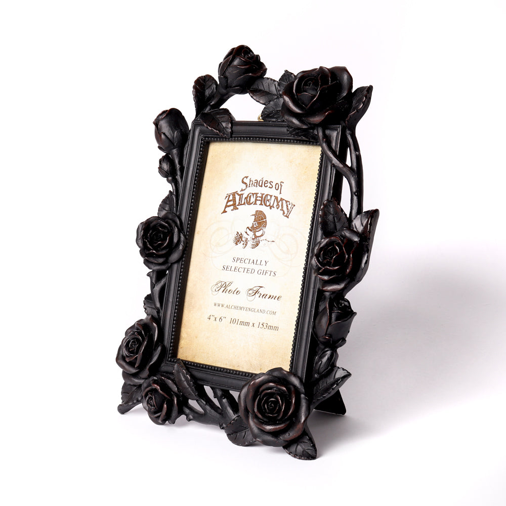 Alchemy Gothic Rose & Vine Photo Frame (SA17)