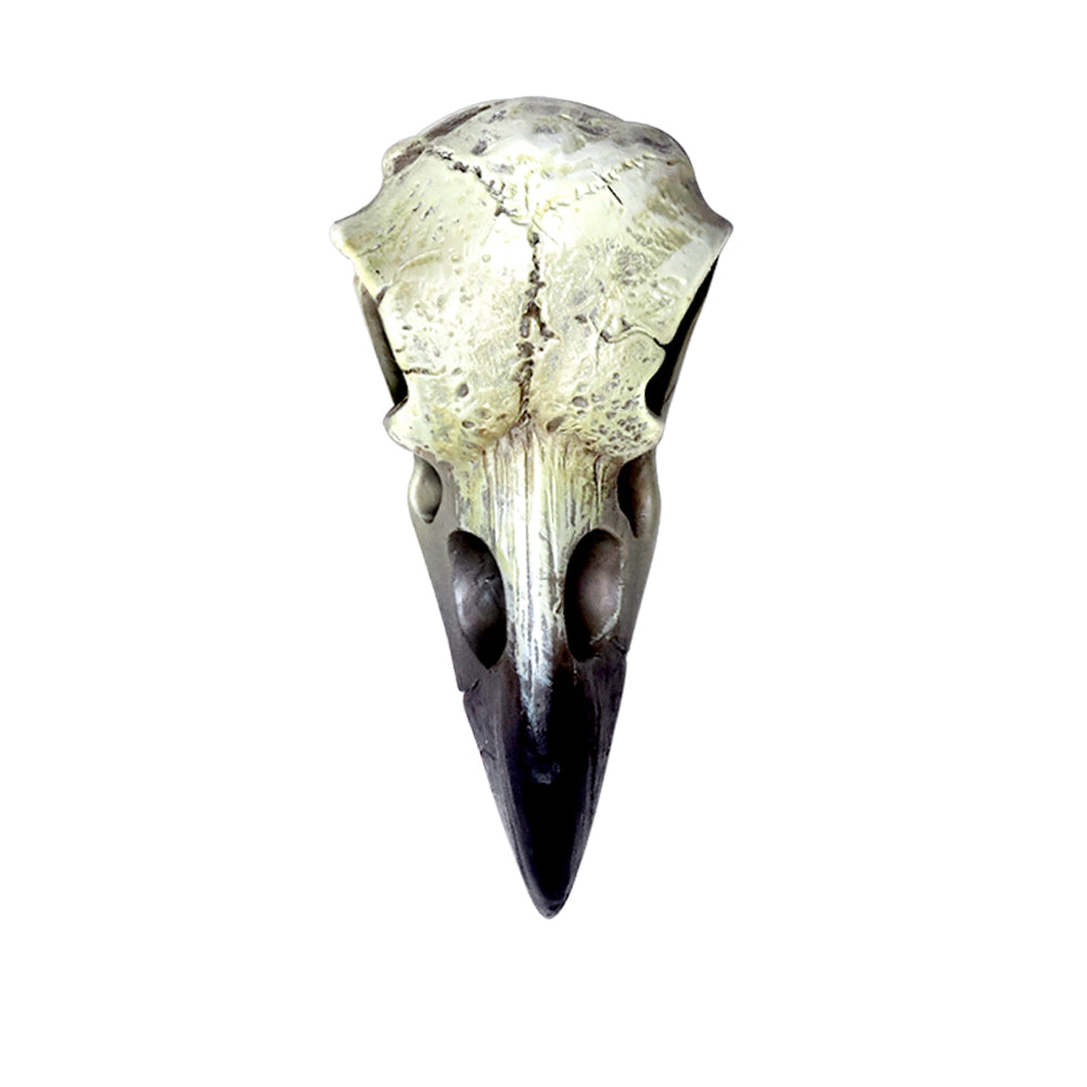 Alchemy Gothic Reliquary Raven Pendant (V66)