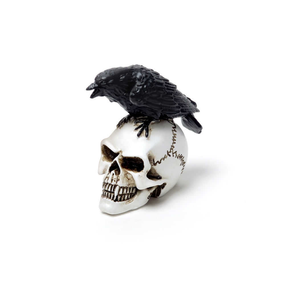 Alchemy Gothic Raven Skull: Miniature Model (VM7)